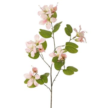 Artificial Bauhinia ENSANA branch, pale pink, 4ft/120cm Artificial Bauhinia ENSANA branch, pale pink, 4ft/120cm
