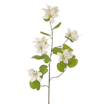Artificial Bauhinia ENSANA branch, white, 4ft/120cm Artificial Bauhinia ENSANA branch, white, 4ft/120cm