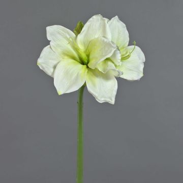 Artificial Amaryllis NARWELA, white-green, 70cm, Ø10–13cm