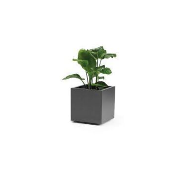 Square flower tub NASTASJA made of recycled plastic, with water reservoir, casters, anthracite, 16"x16"x15"/39,5x39,5x38cm, 35L