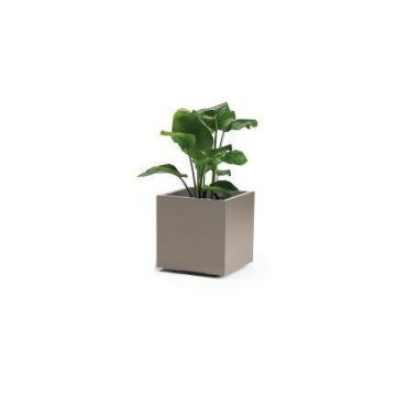 Square flower tub NASTASJA made of recycled plastic, with water reservoir, casters, taupe, 16"x16"x15"/39,5x39,5x38cm, 35L