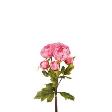 Peonies Bund Artificial VATANA, hot pink, 50cm, Ø18cm