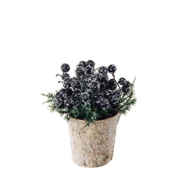 Artificial arrangement of chokeberry and pine ZENSA, decorative pot, black, 5.1"/13cm, Ø4.7"/12cm Artificial arrangement of chokeberry and pine ZENSA, decorative pot, black, 5.1"/13cm, Ø4.7"/12cm