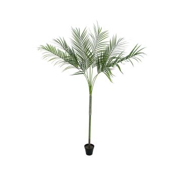 Fake Areca palm KYLIE, weatherproof, 6ft/180cm Fake Areca palm KYLIE, weatherproof, 6ft/180cm