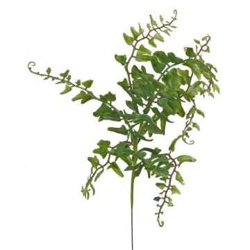 Fake Maidenhair fern FINLEY, on spike, green, 14"/35cm Fake Maidenhair fern FINLEY, on spike, green, 14"/35cm