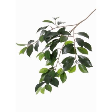 Artificial Ficus Microcarpa branch BHAO, green, 26"/65cm Artificial Ficus Microcarpa branch BHAO, green, 26"/65cm
