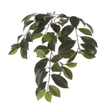 Artificial Ficus Microcarpa branch BHAO, green, 26"/65cm Artificial Ficus Microcarpa branch BHAO, green, 26"/65cm