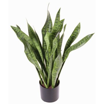 Fake sansevieria BEYZA, green, 31"/80cm Fake sansevieria BEYZA, green, 31"/80cm