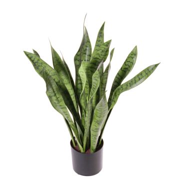 Fake sansevieria BEYZA, green, 31"/80cm Fake sansevieria BEYZA, green, 31"/80cm
