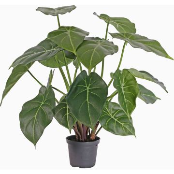 Fake Syngonium PERAMI, green, 18"/45cm Fake Syngonium PERAMI, green, 18"/45cm