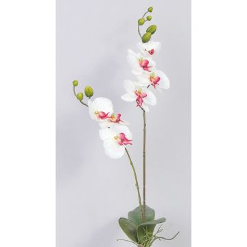Artificial phalaenopsis NAARA spike, white-fuchsia, 30"/75cm