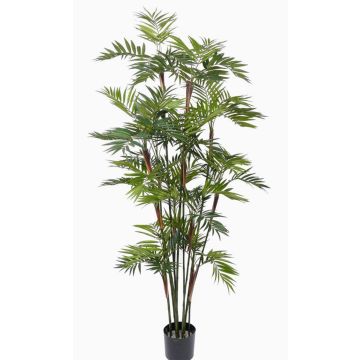 Artificial Mountain palm NAYELI, 7ft/200cm Artificial Mountain palm NAYELI, 7ft/200cm
