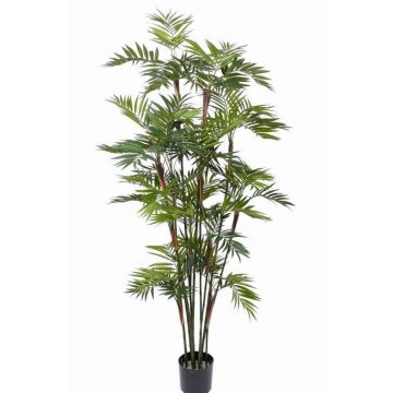 Artificial Mountain palm NAYELI, 7ft/200cm