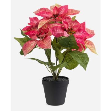GRULEN artificial poinsettia in a decorative pot, pink, 40cm