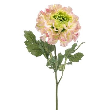 Artificial Ranunculus ULISAN, pink-green, 24"/60cm, Ø5.5"/14cm Artificial Ranunculus ULISAN, pink-green, 24"/60cm, Ø5.5"/14cm