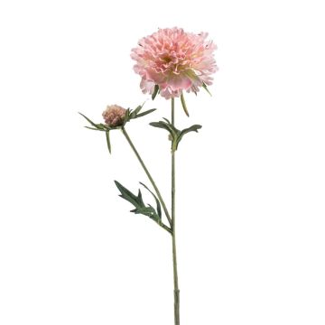 Artificial branch Scabious BASOLO, pink-cream, 22"/55cm Artificial branch Scabious BASOLO, pink-cream, 22"/55cm