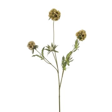 Decorative branch star Scabious RANIK, green, 28"/70cm Decorative branch star Scabious RANIK, green, 28"/70cm