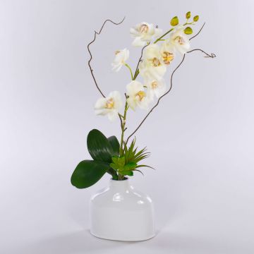 Artificial orchid Phalaenopsis TIALDA, succulents, ceramic vase, white, 20"/50cm Artificial orchid Phalaenopsis TIALDA, succulents, ceramic vase, white, 20"/50cm