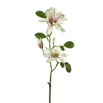Artificial flower branch Star magnolia BLOVI, light green, 24"/60cm