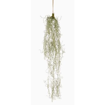 Artificial hanging succulent Tillandsia usneoides TAMON, green, 3ft/90cm