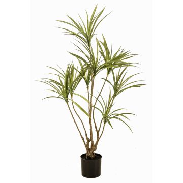 Artificial Dracaena marginata tree SHALLU, artificial trunks, green, 4ft/120cm Artificial Dracaena marginata tree SHALLU, artificial trunks, green, 4ft/120cm