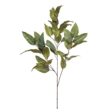 Artificial eucalyptus branch BELUNI, green, 4ft/125cm