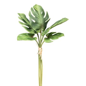 Decorative Philodendron monstera deliciosa AIDUA leaves, 5 pieces, 18"/45cm Decorative Philodendron monstera deliciosa AIDUA leaves, 5 pieces, 18"/45cm