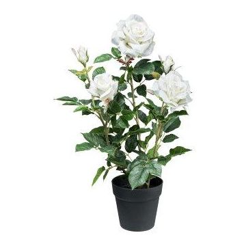 Furhyne artificial rose in decorative pot, white, 60cm