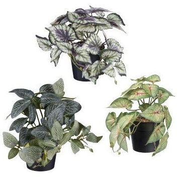 Hanging artificial plant mix: variegated nettle TRIHEN, Fittonia, Caladium, 3 pieces, decorative pot, green-multicoloured, 8"/20cm, Ø9"/23cm Hanging artificial plant mix: variegated nettle TRIHEN, Fittonia, Caladium, 3 pieces, decorative pot, green-multicoloured, 8"/20cm, Ø9"/23cm