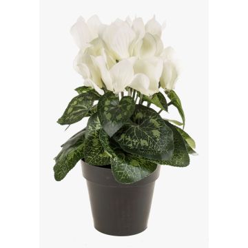 Fake cyclamen HEIDI in a decorative pot, cream, 10"/25cm, Ø2"-3.1"/5-8cm