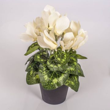 Fake cyclamen HEIDI in a decorative pot, cream, 10"/25cm, Ø2"-3.1"/5-8cm