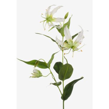 Fake gloriosa FUJITA, cream-green, 31"/80cm, Ø6"/15cm
