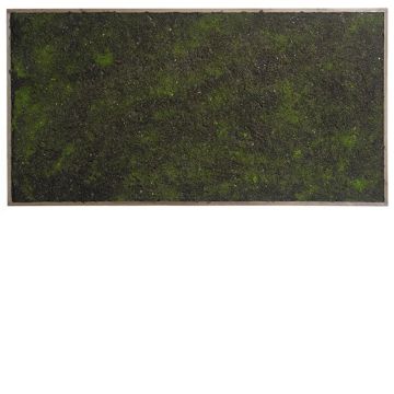Decorative hedge / mat Moss in frame HONAM, brown-green, 3ftx20"/100x50cm