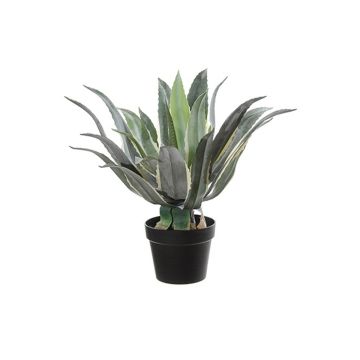 Artificial succulent Agave americana KYANO, decorative pot, green-cream, 22"/55cm