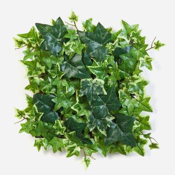 Silk Ivy hedge LUKA, green-white, 12"x12"/30x30cm