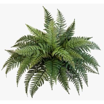 Artificial Royal fern AARON, on spike, green, 20"/50cm, Ø 26"/65cm