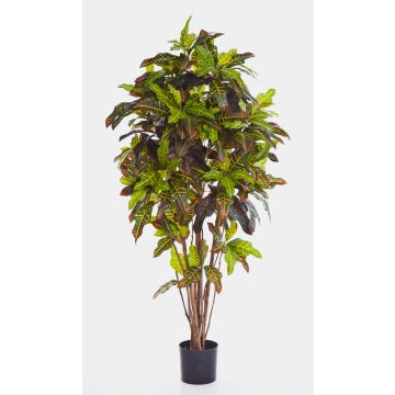 Artificial Croton BEQA, real stems, hardly inflammable, colourful, 5ft/150cm Artificial Croton BEQA, real stems, hardly inflammable, colourful, 5ft/150cm