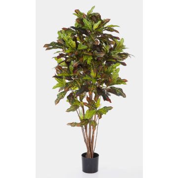 Artificial Croton BEQA, real stems, hardly inflammable, colourful, 6ft/180cm Artificial Croton BEQA, real stems, hardly inflammable, colourful, 6ft/180cm