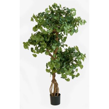 Artificial Ginkgo tree GREGOR, real stem, hardly inflammable, 5ft/145cm Artificial Ginkgo tree GREGOR, real stem, hardly inflammable, 5ft/145cm