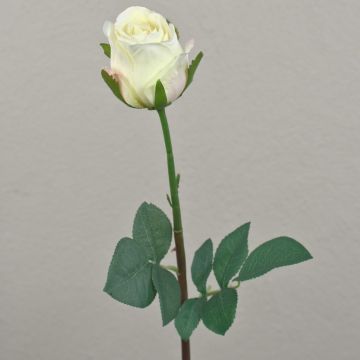 Artificial Rose SAPINA, cream-apricot, 24"/60cm, Ø2.4"/6cm
