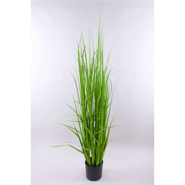 Artificial reed grass ILIAS, green-yellow, 6ft/180cm Artificial reed grass ILIAS, green-yellow, 6ft/180cm