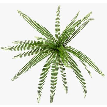 Artificial sword fern DREGON on a stand, flame-retardant, green, 24"/60cm Artificial sword fern DREGON on a stand, flame-retardant, green, 24"/60cm