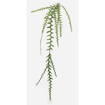 Artificial plant: BRAGIN leaf cactus, on a stake, flame-retardant, green, 4ft/125cm Artificial plant: BRAGIN leaf cactus, on a stake, flame-retardant, green, 4ft/125cm