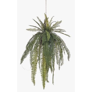 Decorative sword fern hanging basket MAXROL, root ball, roots, hanging, green, 85cm