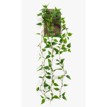 Artificial hanging plant Philodendron scandens SAELFES on a stake, 33"/85cm Artificial hanging plant Philodendron scandens SAELFES on a stake, 33"/85cm