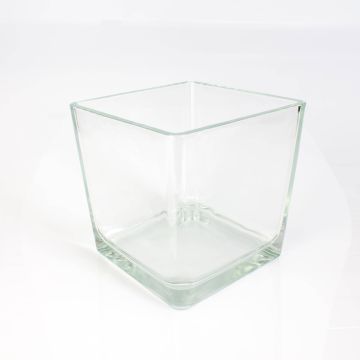 Glass flower pot KIM EARTH, clear, 7.1"x6.9"x6.9"/18x17.5x17.5cm