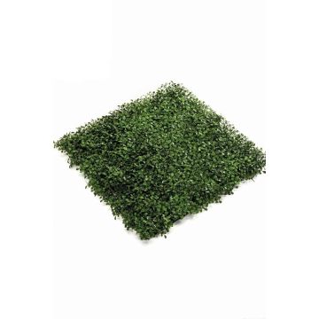 Artificial Boxwood mat HEINZ, weatherproof, 20"x20"/50x50cm