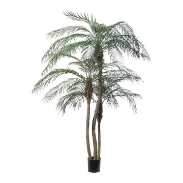 Artificial palm Phoenix ELIES, 7ft/210cm Artificial palm Phoenix ELIES, 7ft/210cm