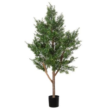 Decorative tree Crossostephium BELENA, natural trunk, green, 4ft/120cm Decorative tree Crossostephium BELENA, natural trunk, green, 4ft/120cm