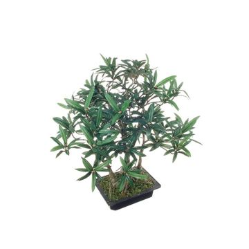 Artificial tree bonsai podocarpus ALIKANA with roots, decorative bowl, 18"/45cm Artificial tree bonsai podocarpus ALIKANA with roots, decorative bowl, 18"/45cm